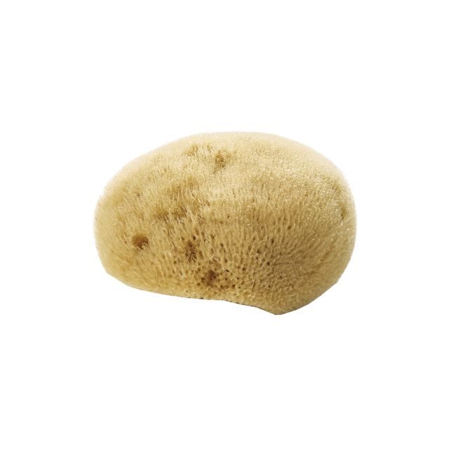 ÉPONGE FINE NATURELLE VISAGE